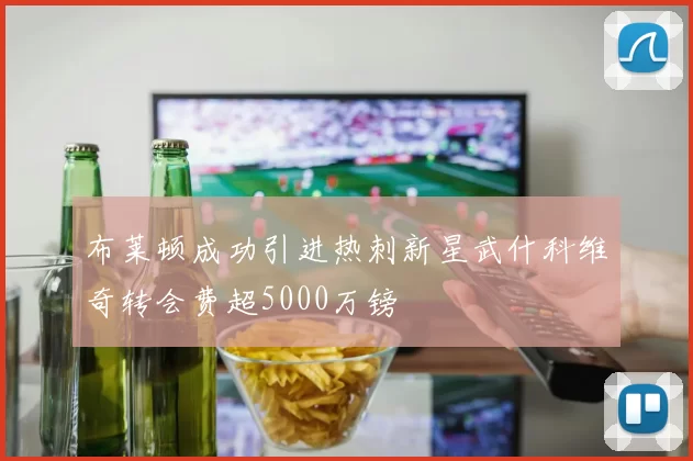 布莱顿成功引进热刺新星武什科维奇转会费超5000万镑