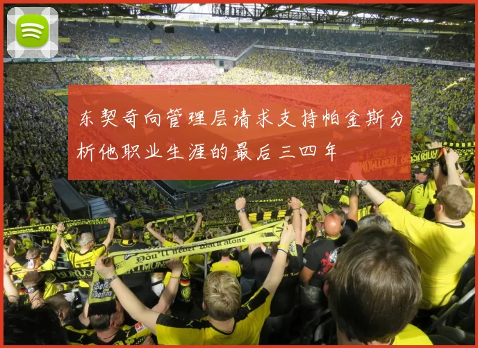 东契奇向管理层请求支持帕金斯分析他职业生涯的最后三四年